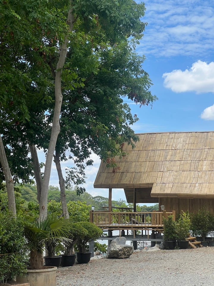 Riverside Bamboo — 2