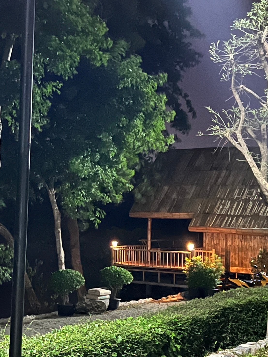 Riverside Bamboo